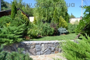 landshaft-dizain-dnepr (2)